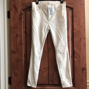 Loft High Rise Legging 2 Petite